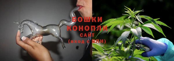 крисы Карпинск
