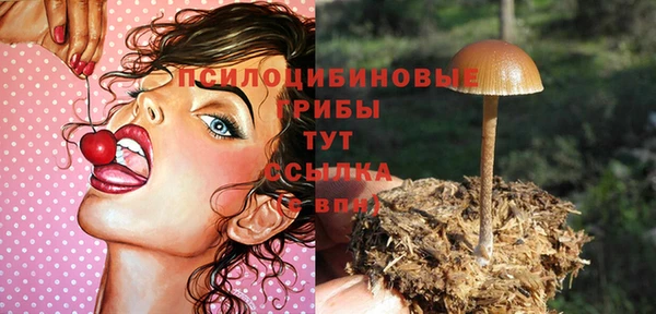 гашишное масло Касимов
