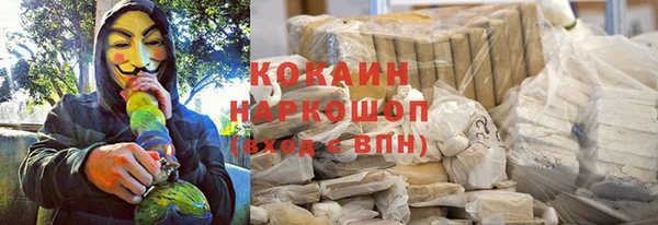 крисы Карпинск