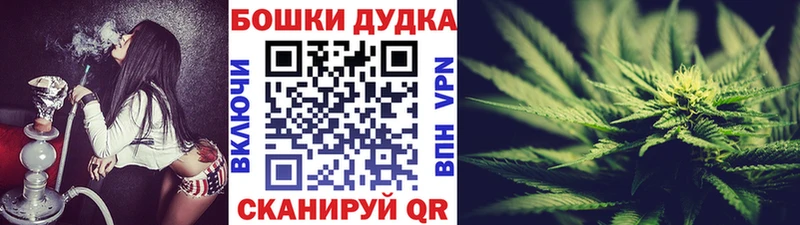 Бошки Шишки Amnesia  Купить закладки  Заводоуковск 